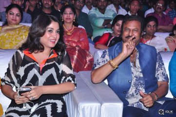 Mama Manchu Alludu Kanchu Movie Audio Launch